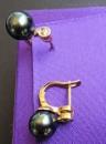 CLB040 Earrings Gold & Diams
